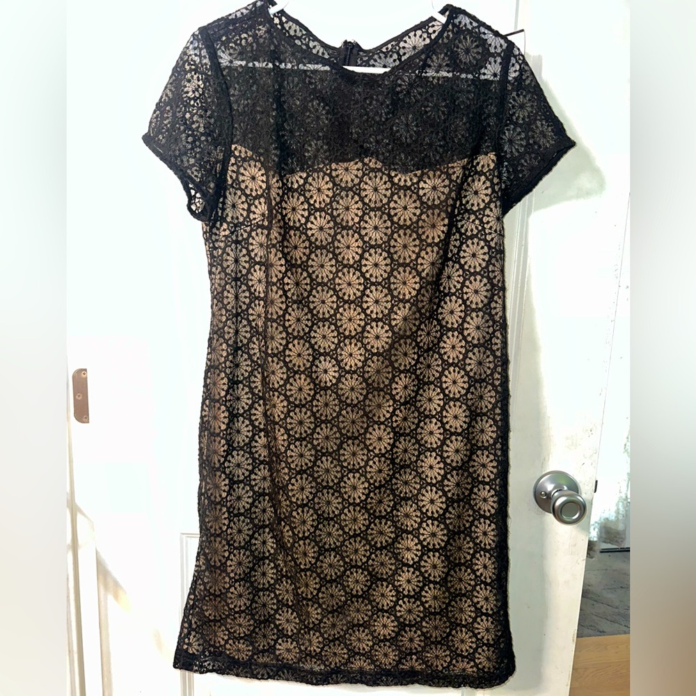 Sharagano Black Lace Overlay Mini Dress